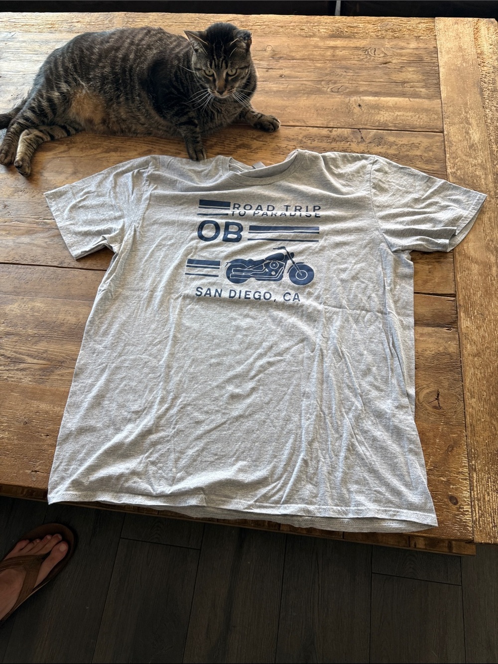 OB San Diego Gray Graphic Tee - Road Trip Motorcycle Design